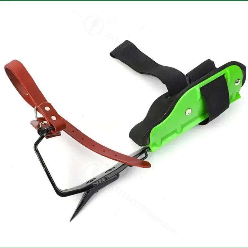 รองเท้าปีนต้นไม้แบบตั้งตรงทำจา - Shoe Tree บทวิจารณ์และราคา