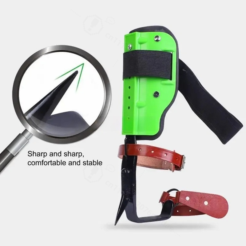 รองเท้าปีนต้นไม้แบบตั้งตรงทำจา - Shoe Tree บทวิจารณ์และราคา